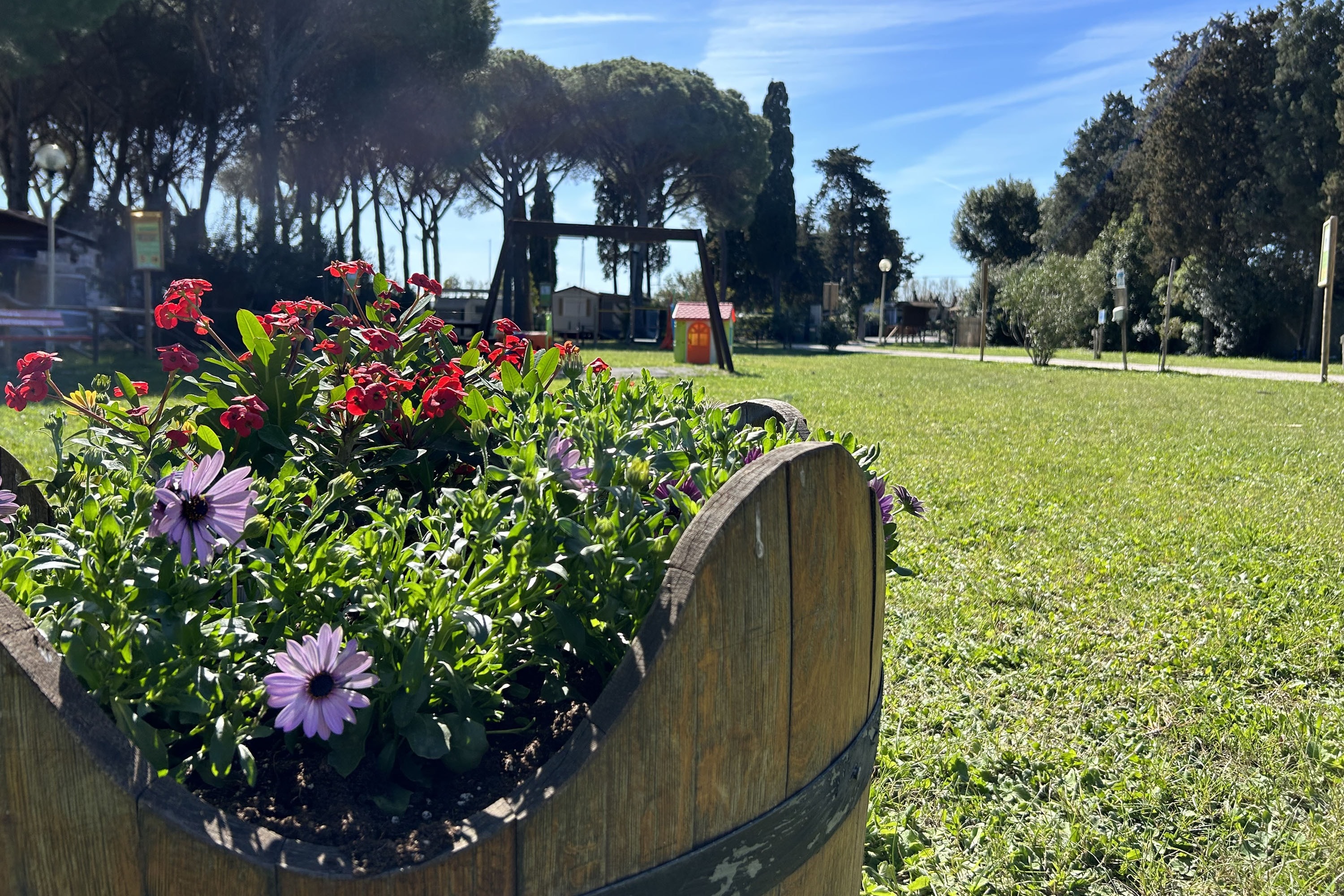 Camping Bocca di Cecina