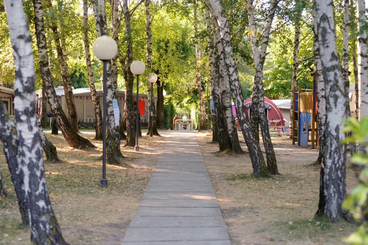 Camping Sassabanek