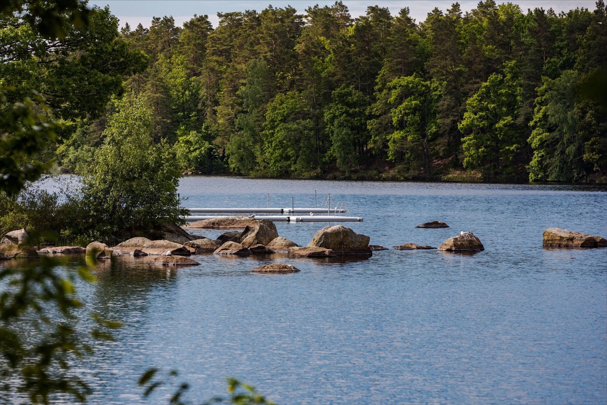 Långasjönäs Camping & Stugby