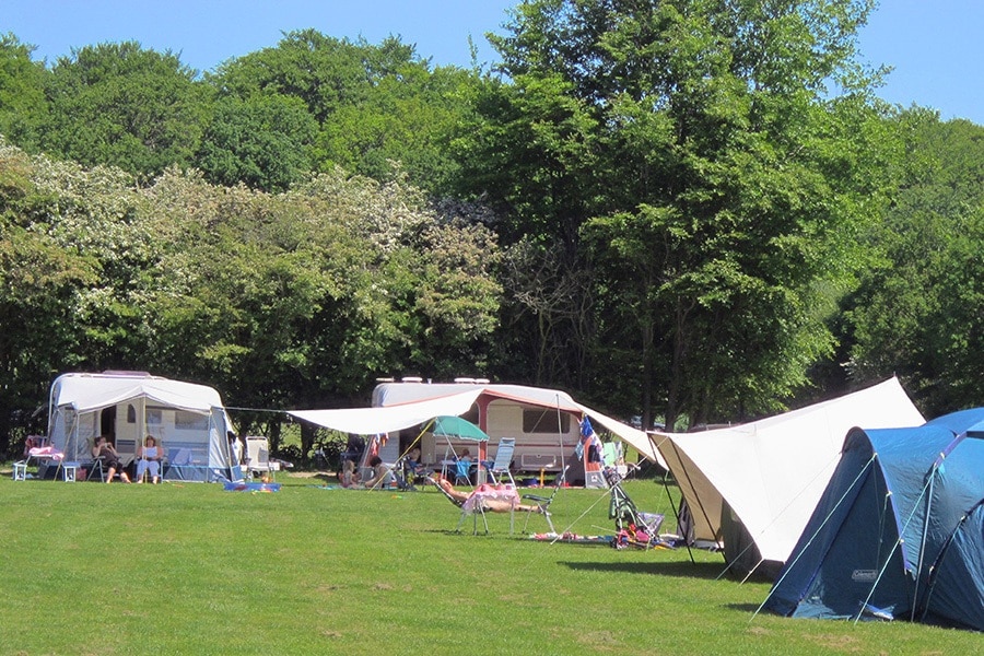Familiecamping Vogelenzang