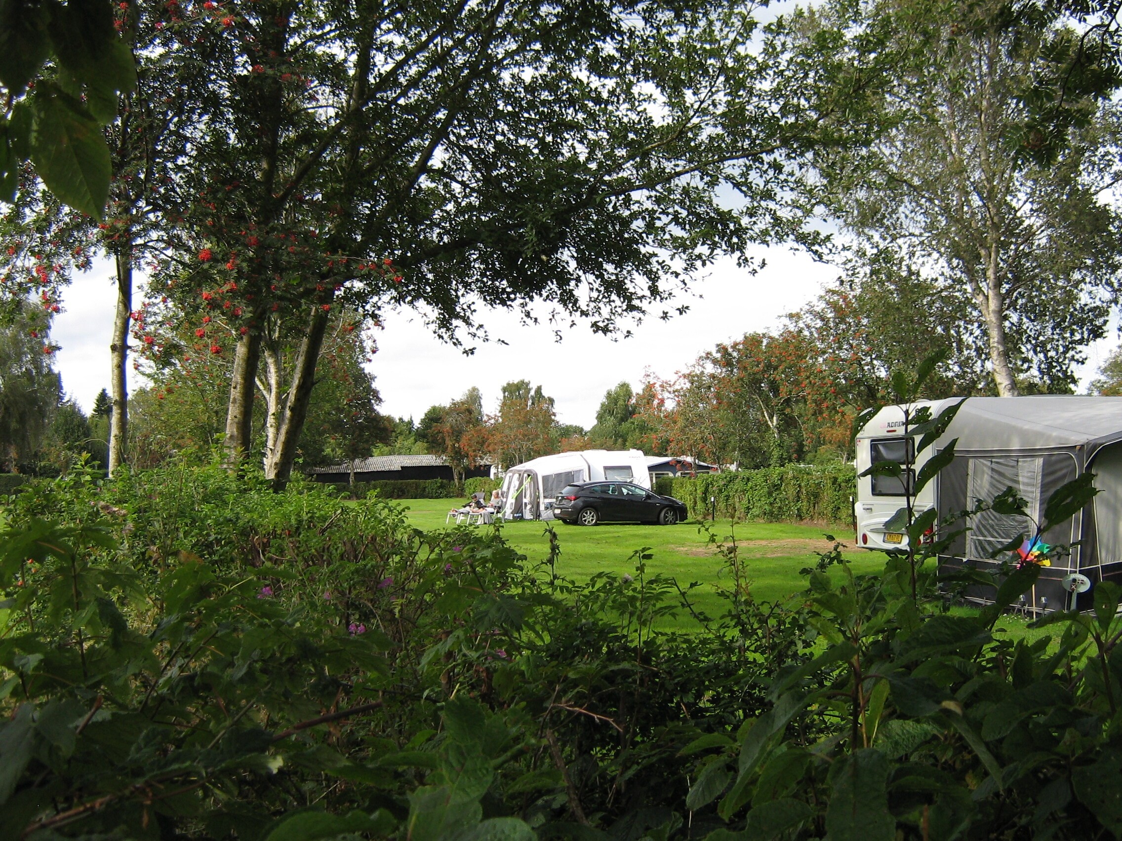 First Camp Ajstrup Strand