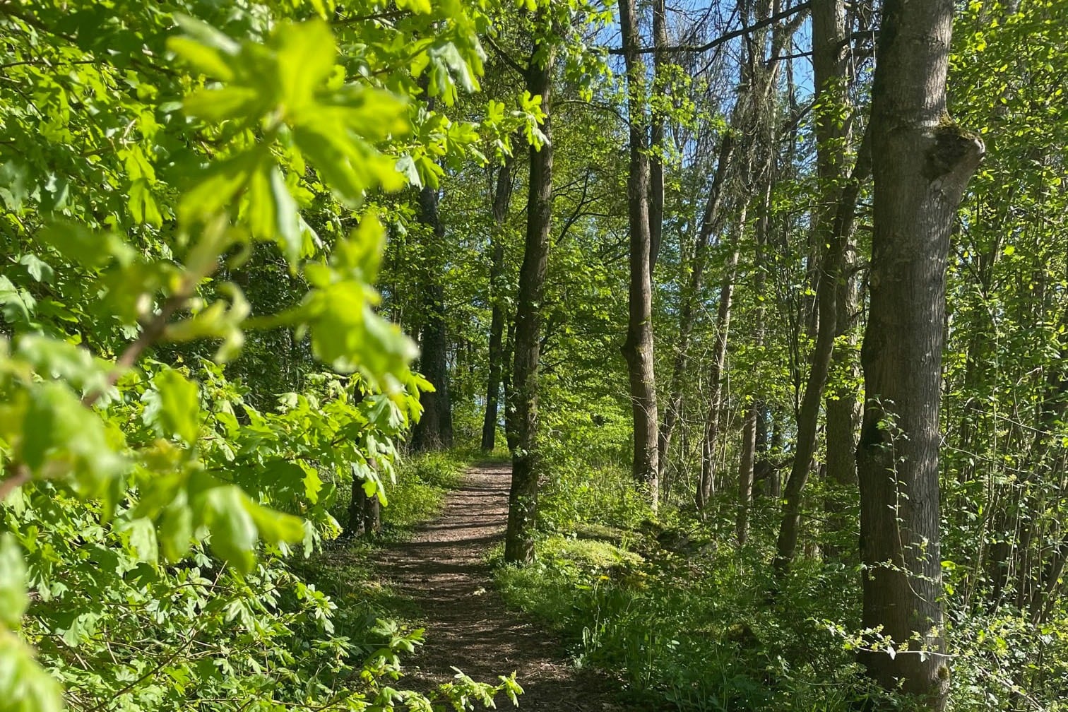 Prümtal-Camping Oberweis