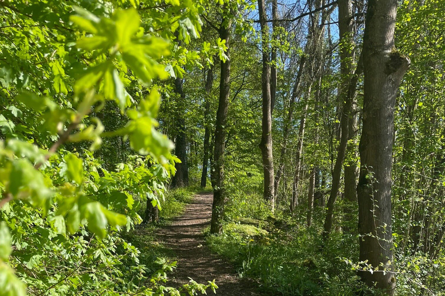 Prümtal-Camping Oberweis