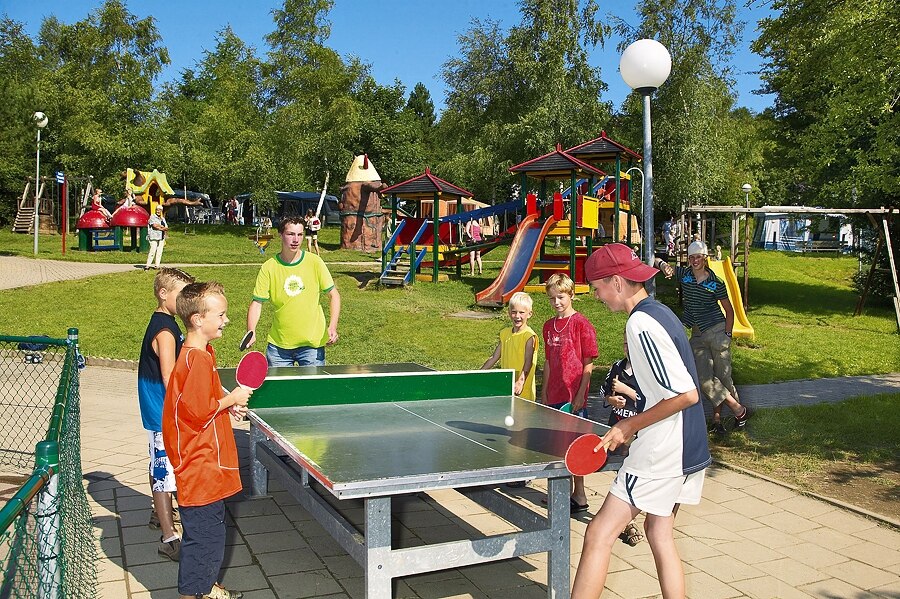 ArdenParks Petite Suisse