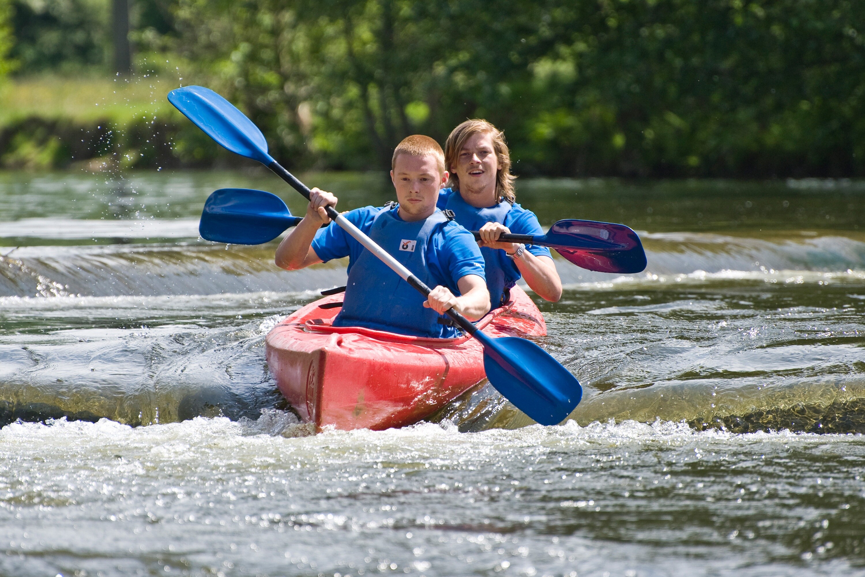 ArdenParks Petite Suisse