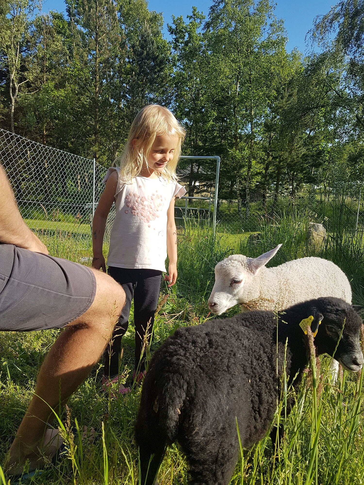 A35 Sindal Camping Danmark & Kanoudlejning