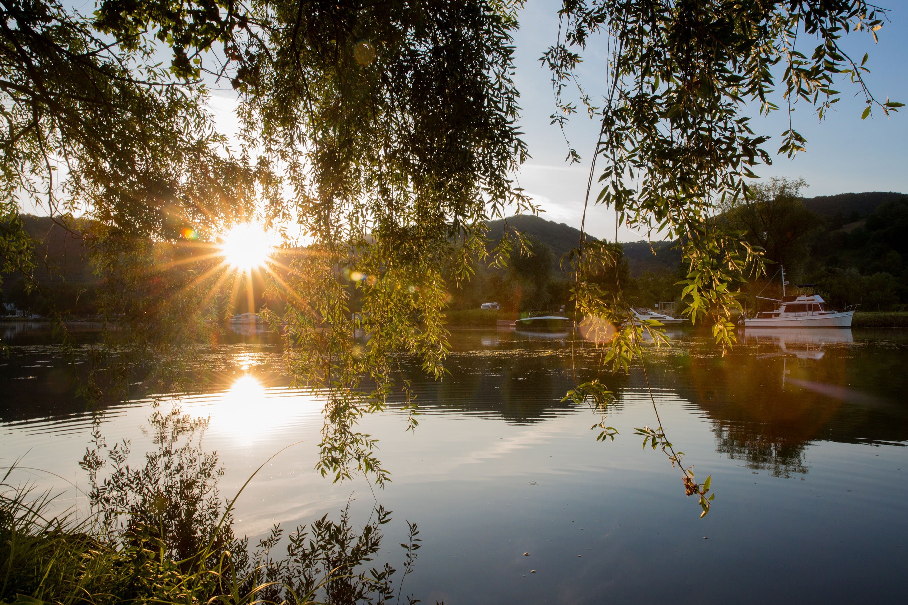 Mosel-Islands Camping
