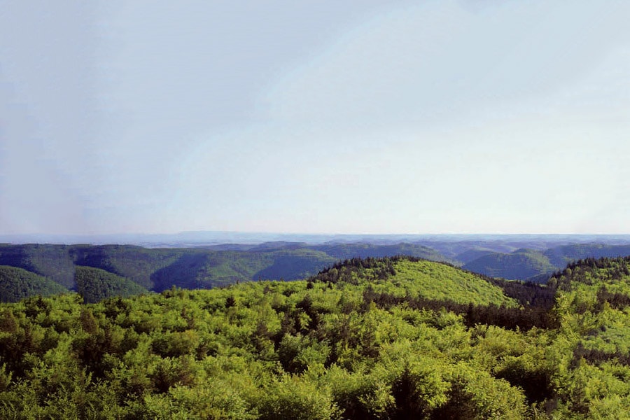 Camping Seasonova Les Vosges du Nord afbeelding 2