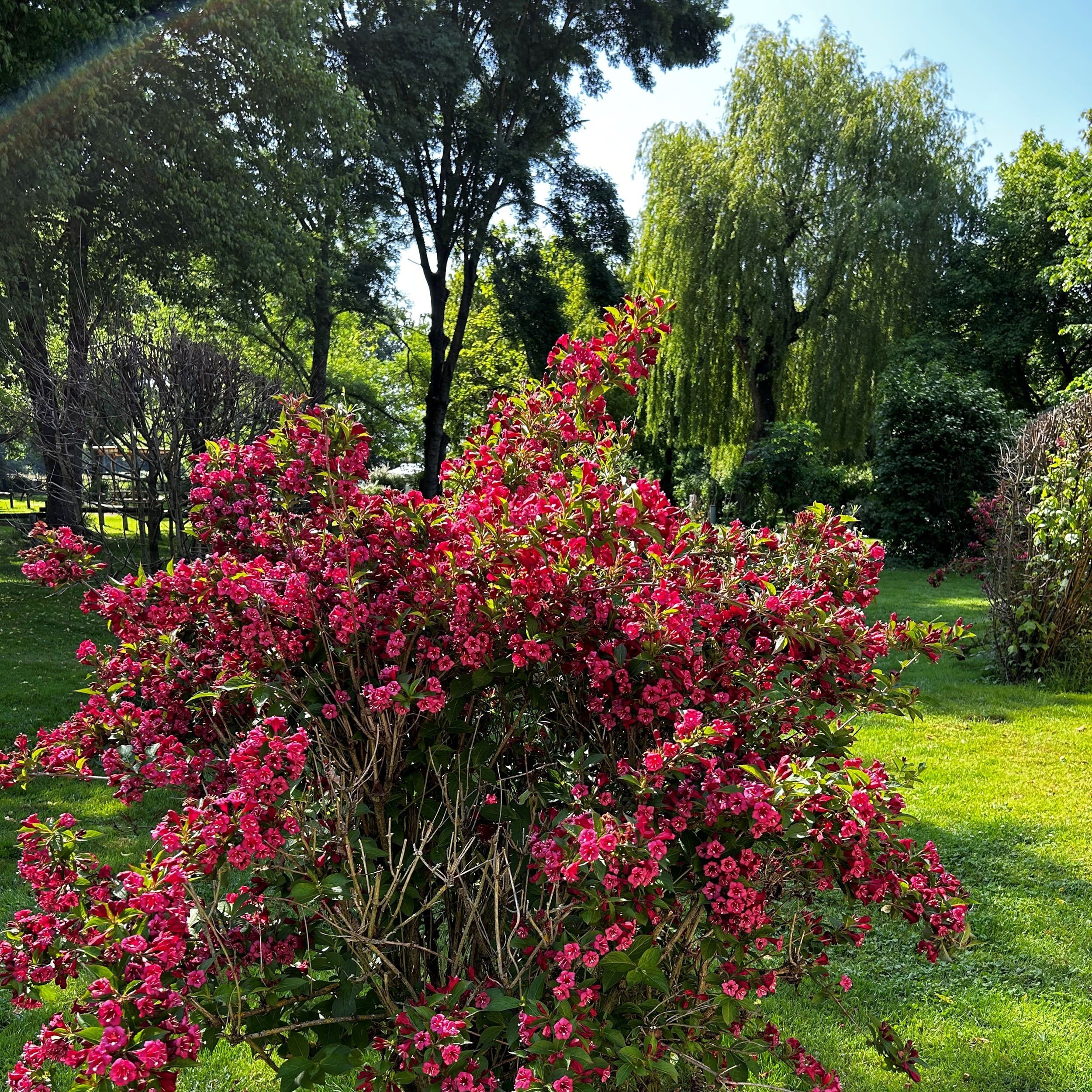 Camping Au Bon Endroit