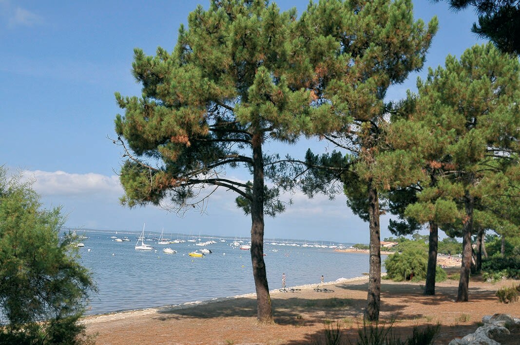 Camping Fontaine Vieille