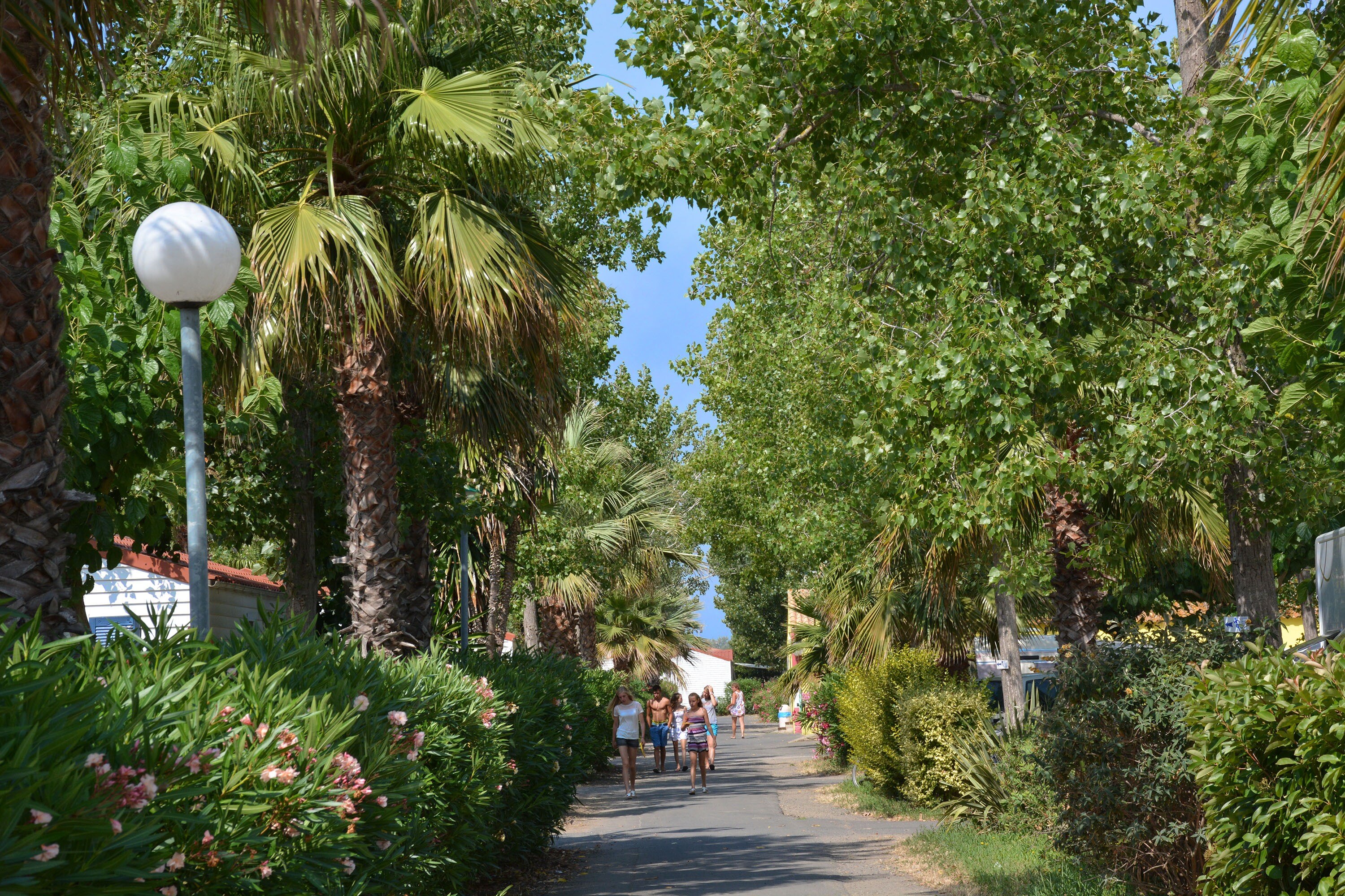 Camping Finca l'Air Marin