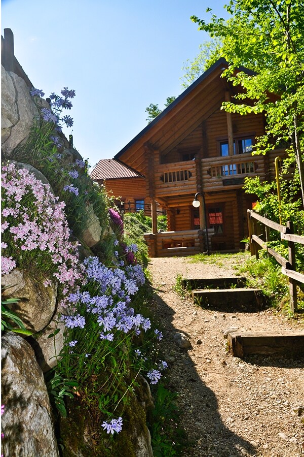 Eco-Camping & Chalets Koren