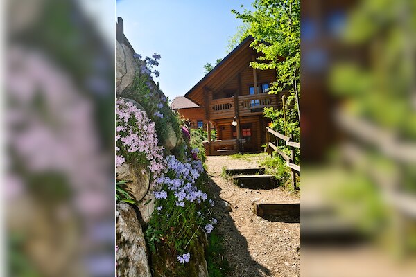 Eco-Camping & Chalets Koren