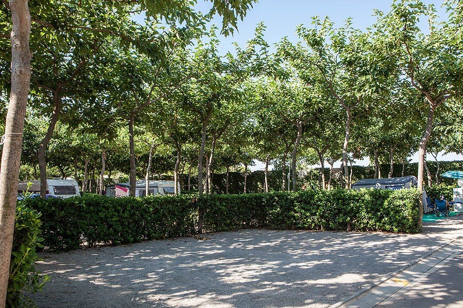 Bonterra Resort - Camping & Bungalows