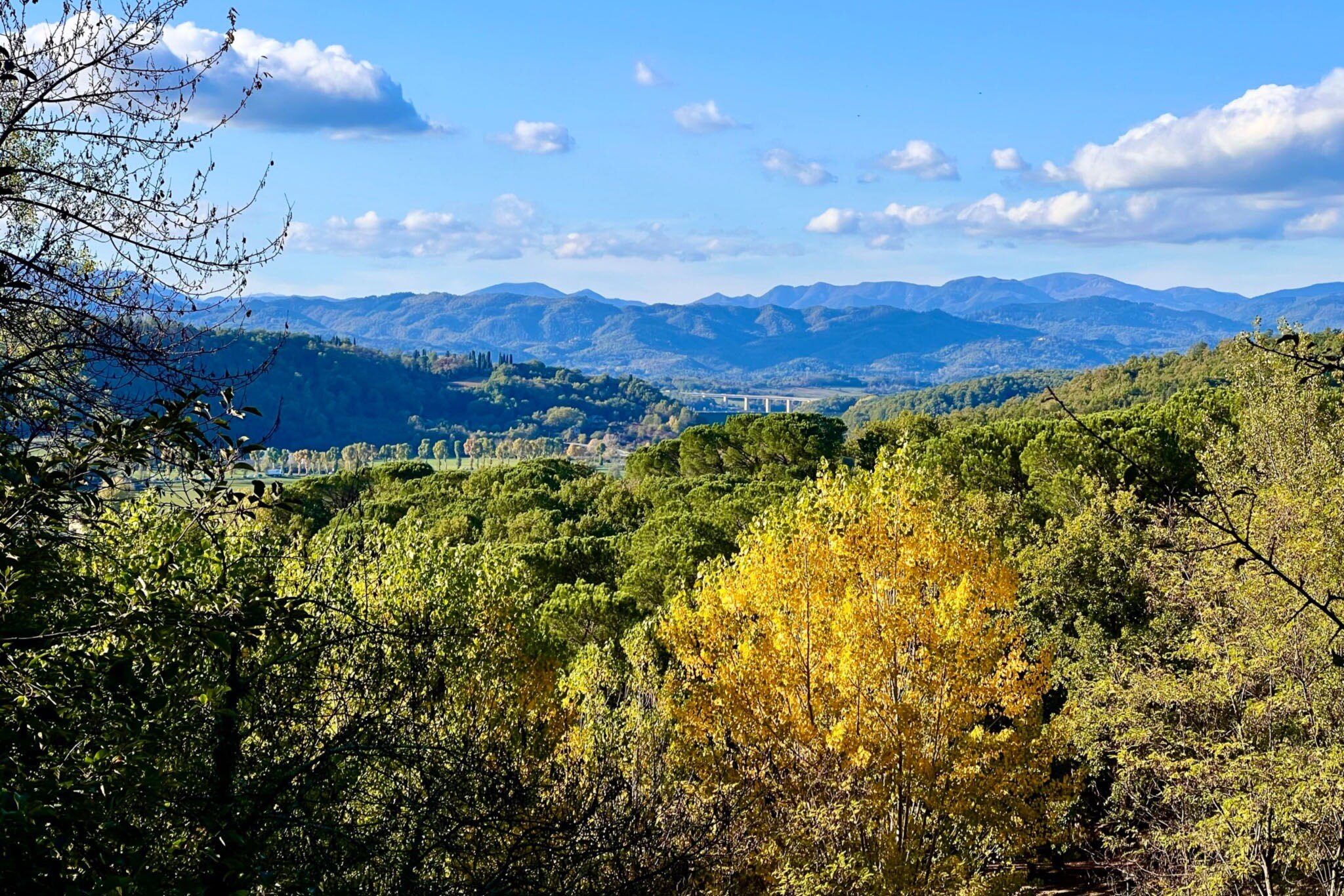 Camping Village Mugello Verde