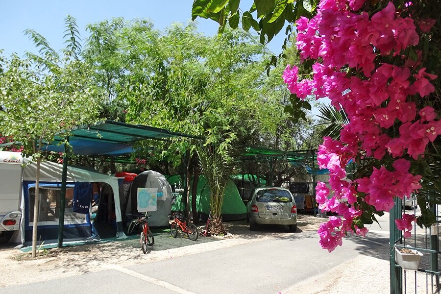 Camping Internacional Las Palmeras