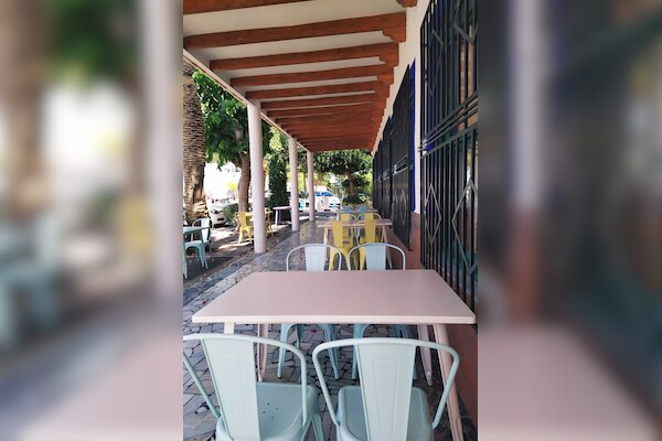 Camping Internacional Las Palmeras