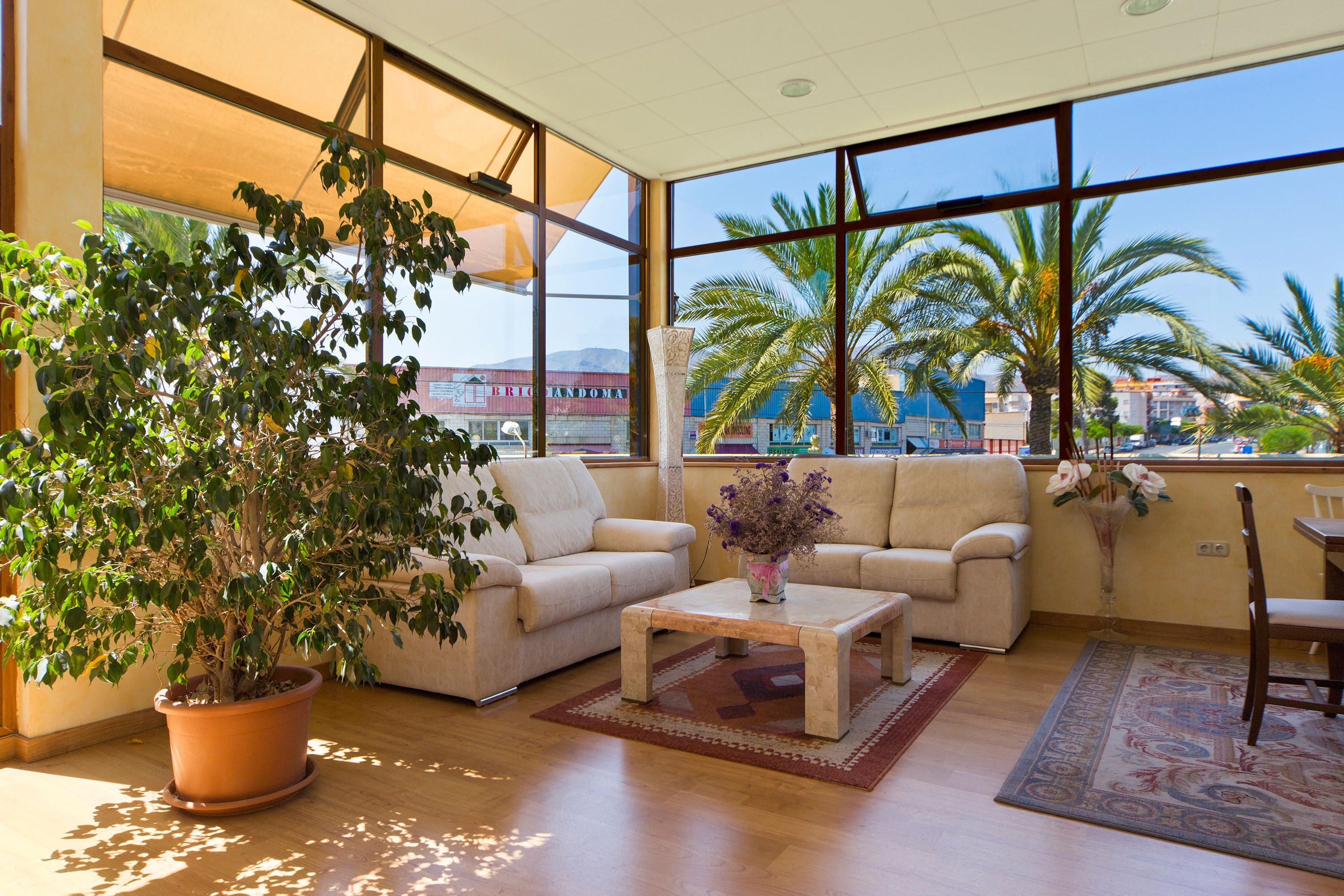 Camping Internacional Las Palmeras