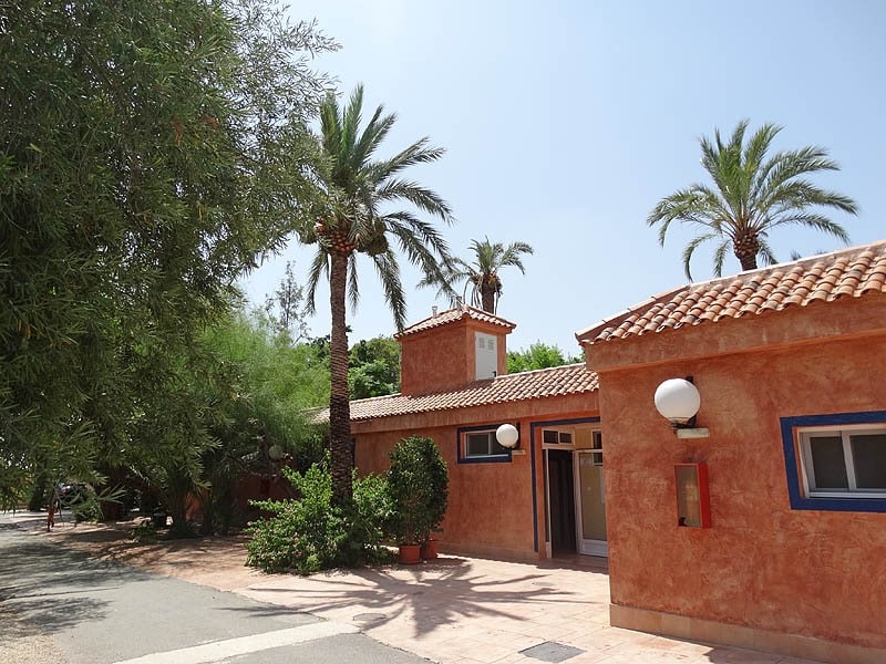 Camping Internacional Las Palmeras