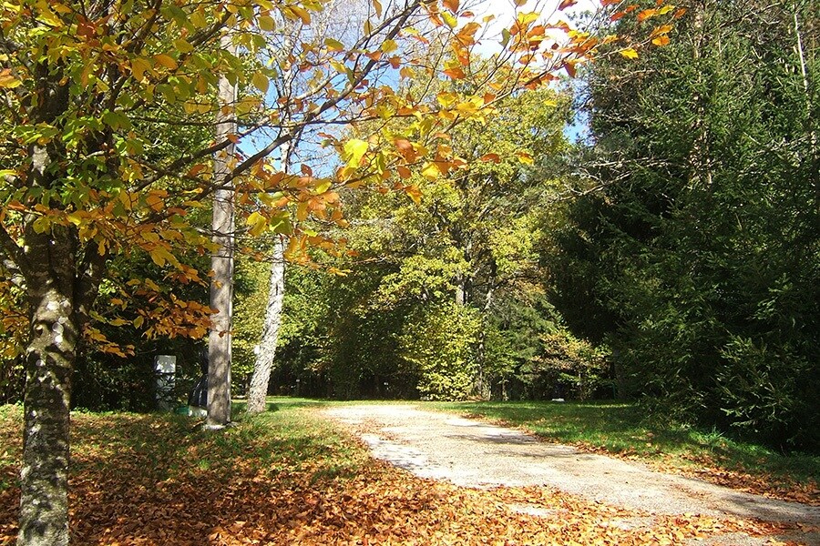 Camping de la Forêt
