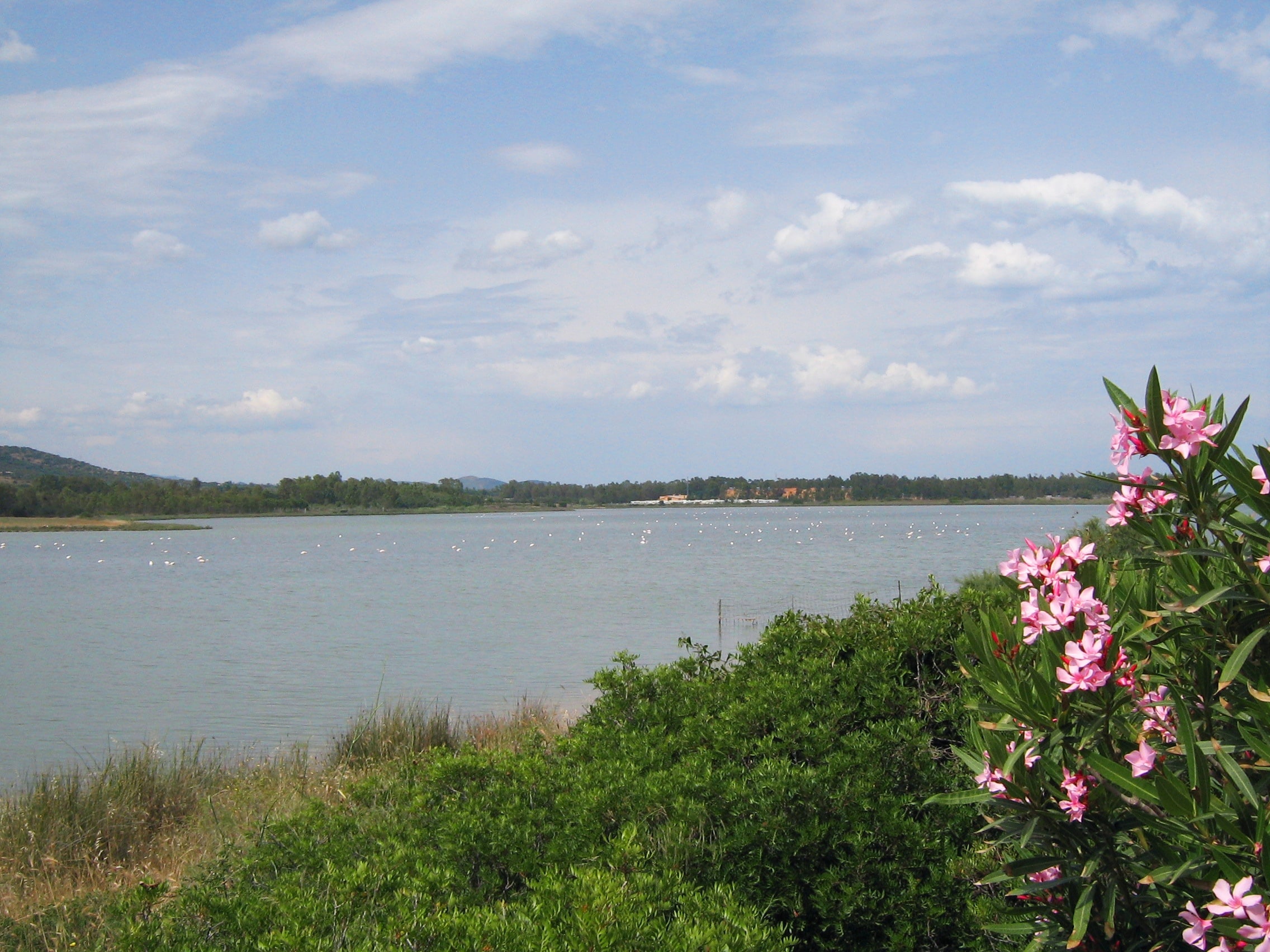 Camping Torre Salinas