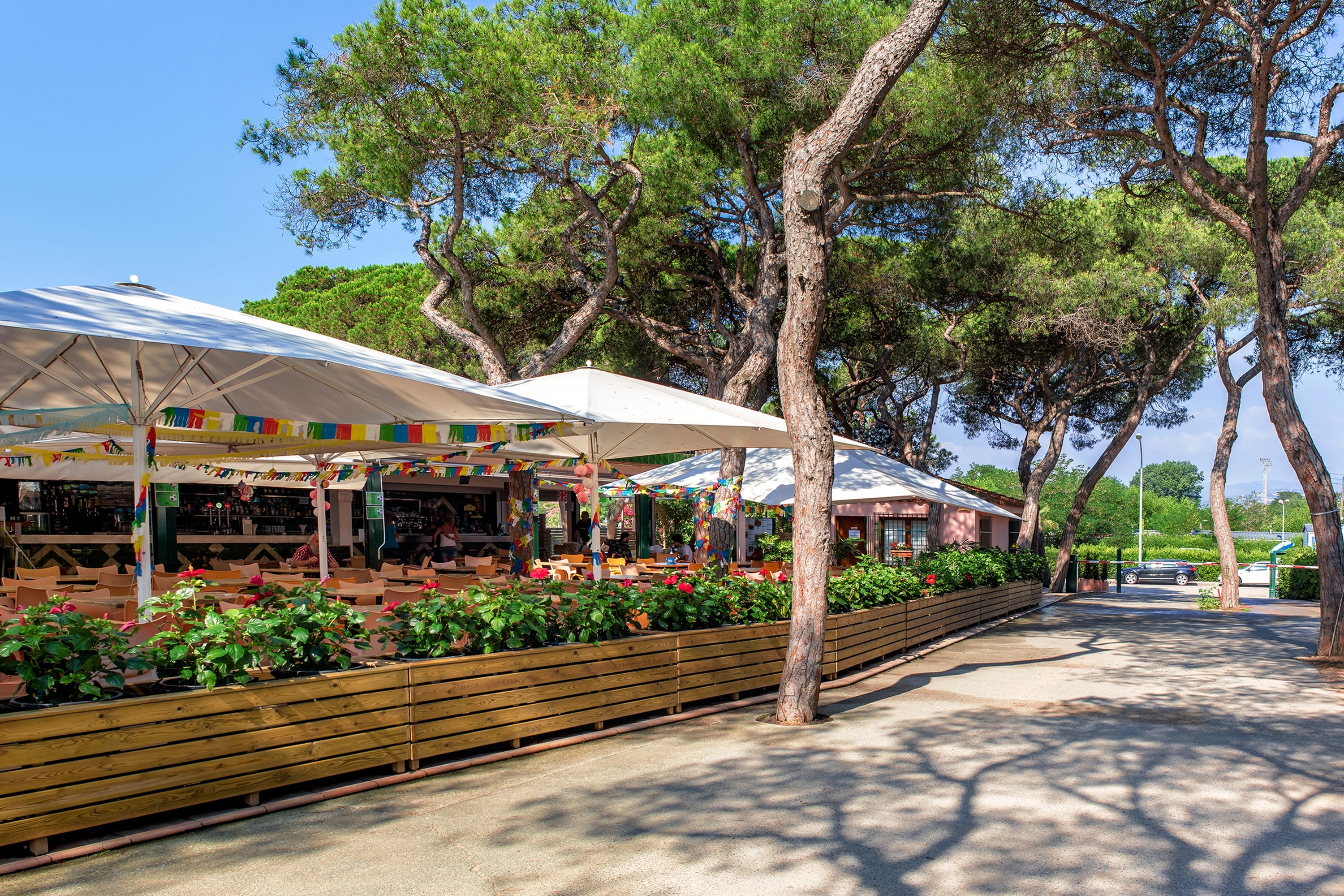 Camping Alannia El Pinar