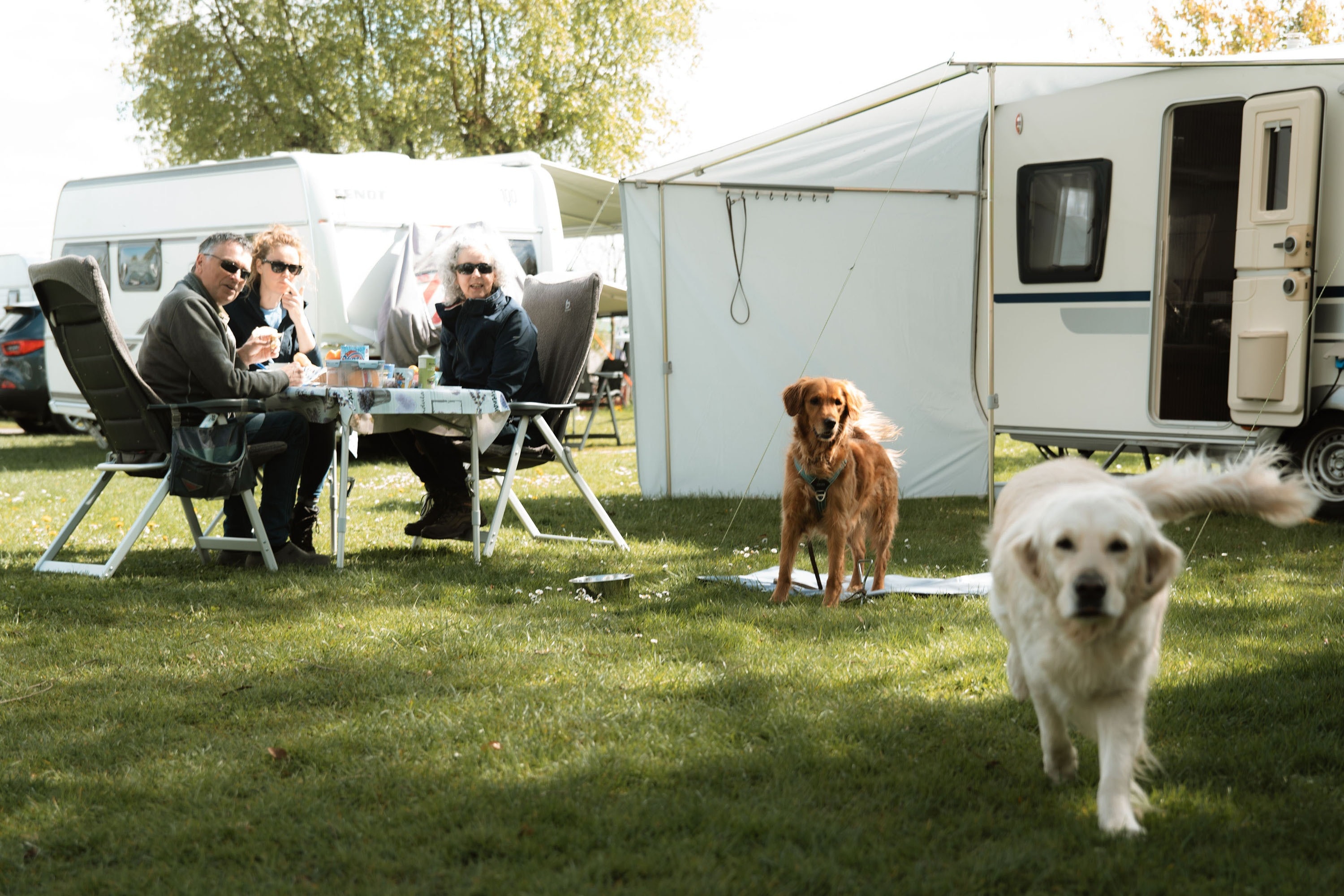 Camping Natuurlijk Limburg