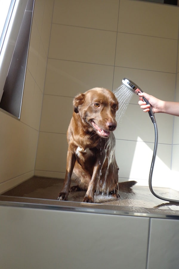 Camping am Königsberg