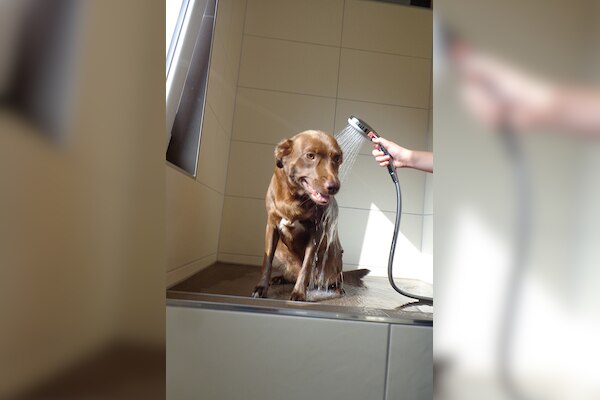 Camping am Königsberg