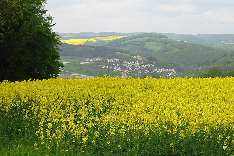 Camping am Königsberg