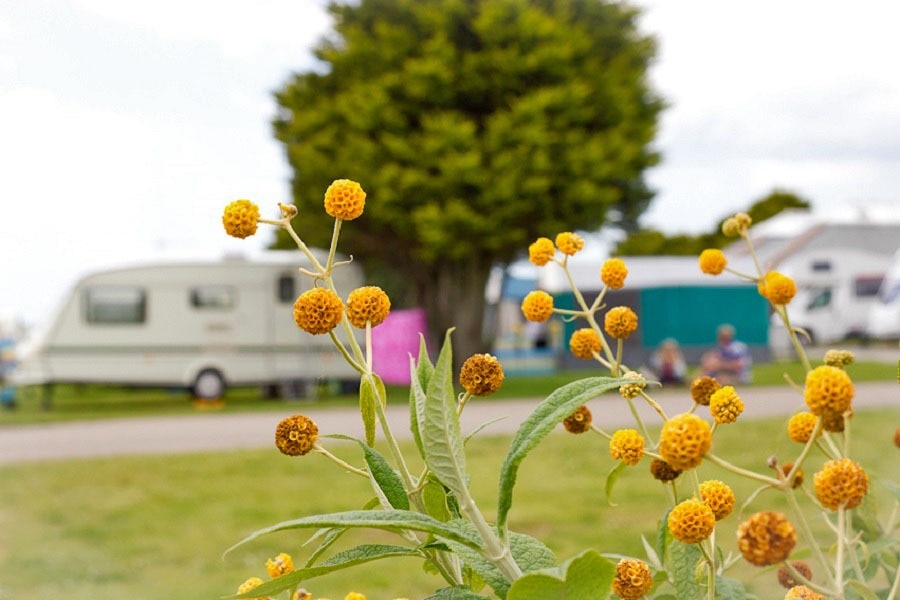 Tencreek Holiday Park