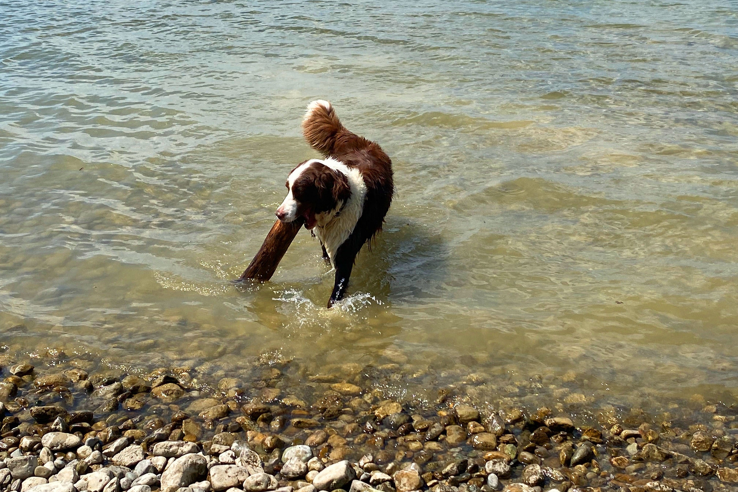 Chiemsee Strandcamping