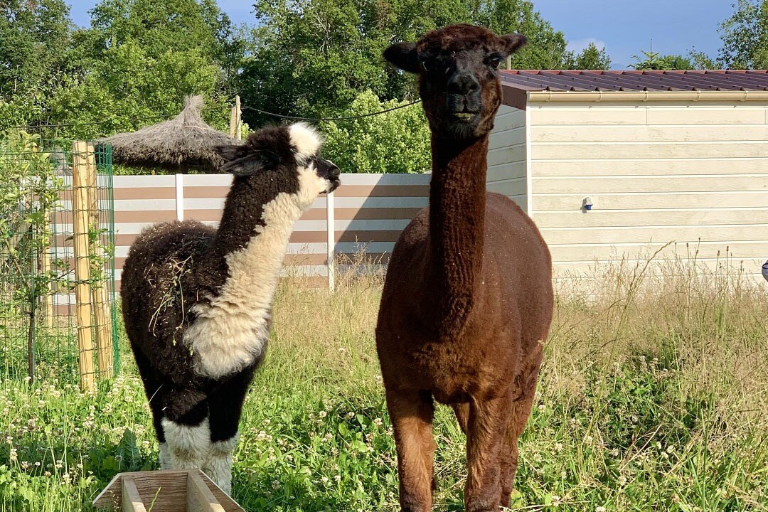 Camping Maeva Escapades Bel-Air