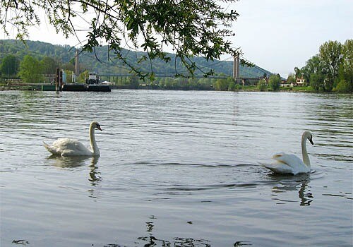 Flower Camping de l'Île des Trois Rois