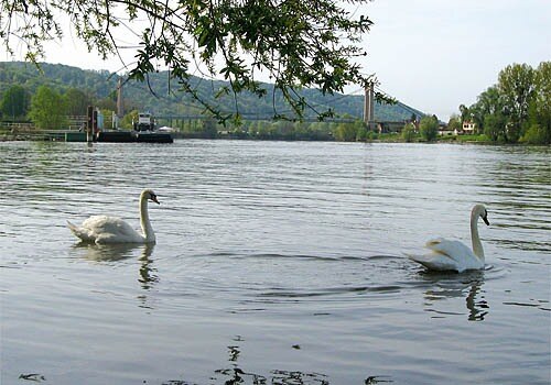 Flower Camping de l'Île des Trois Rois