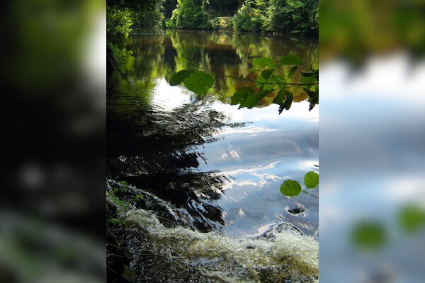 Camping Les Chambons