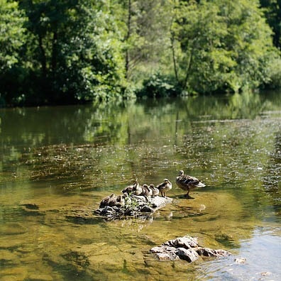 Camping Ushuaia villages Rives d'Olt et Aubrac