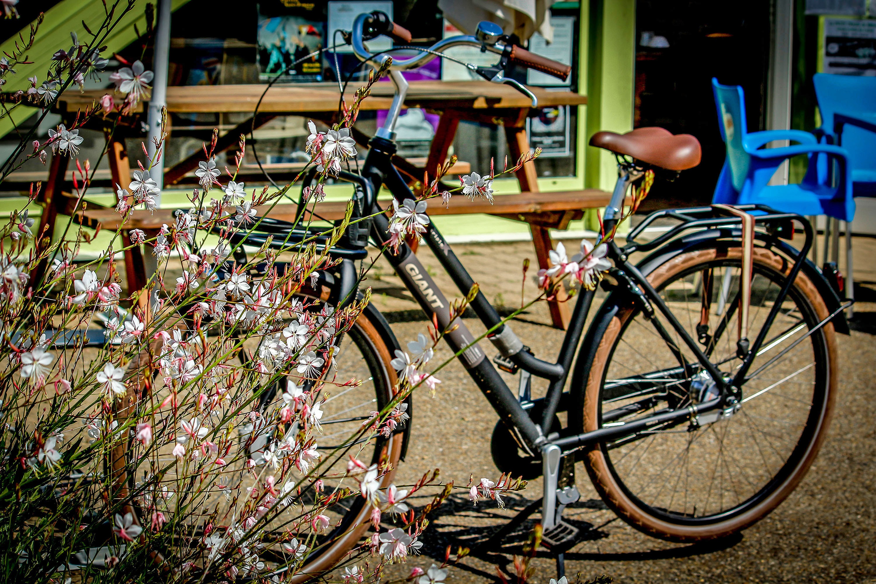 Camping Seasonova Le Martinet afbeelding 2