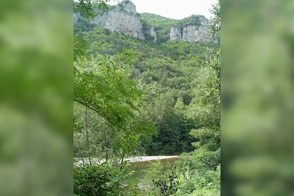 Flower Camping Le Peyrelade