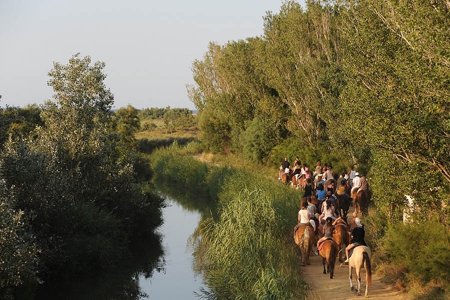 Camping Le Palais de la Mer
