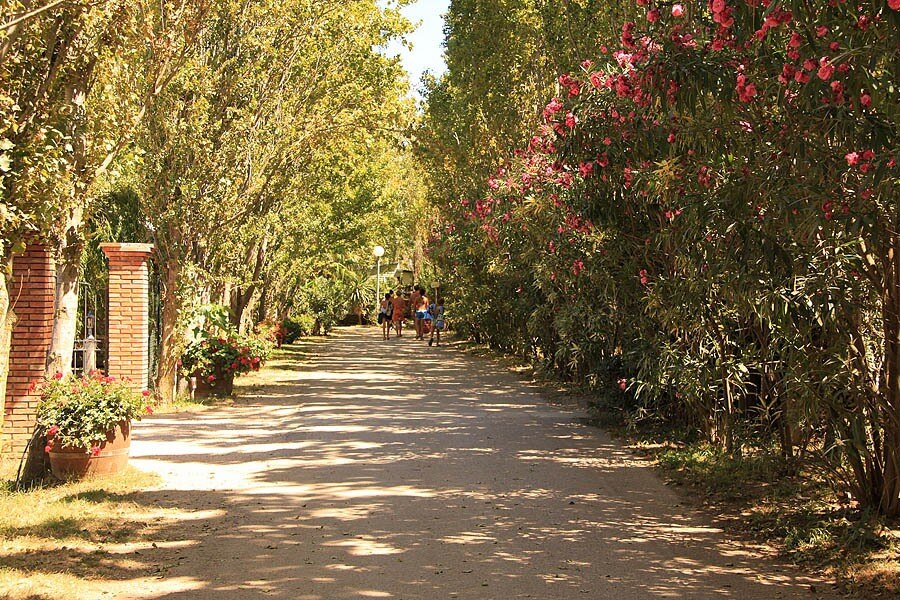 Camping Le Palais de la Mer