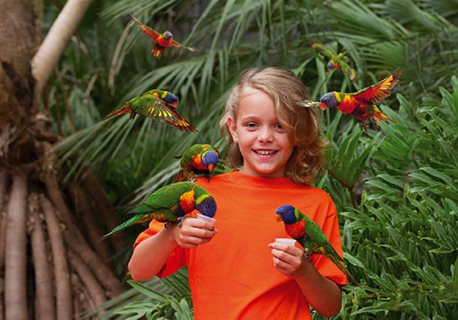 Camping Le Nid du Parc