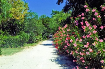 Camping de L'Hérein
