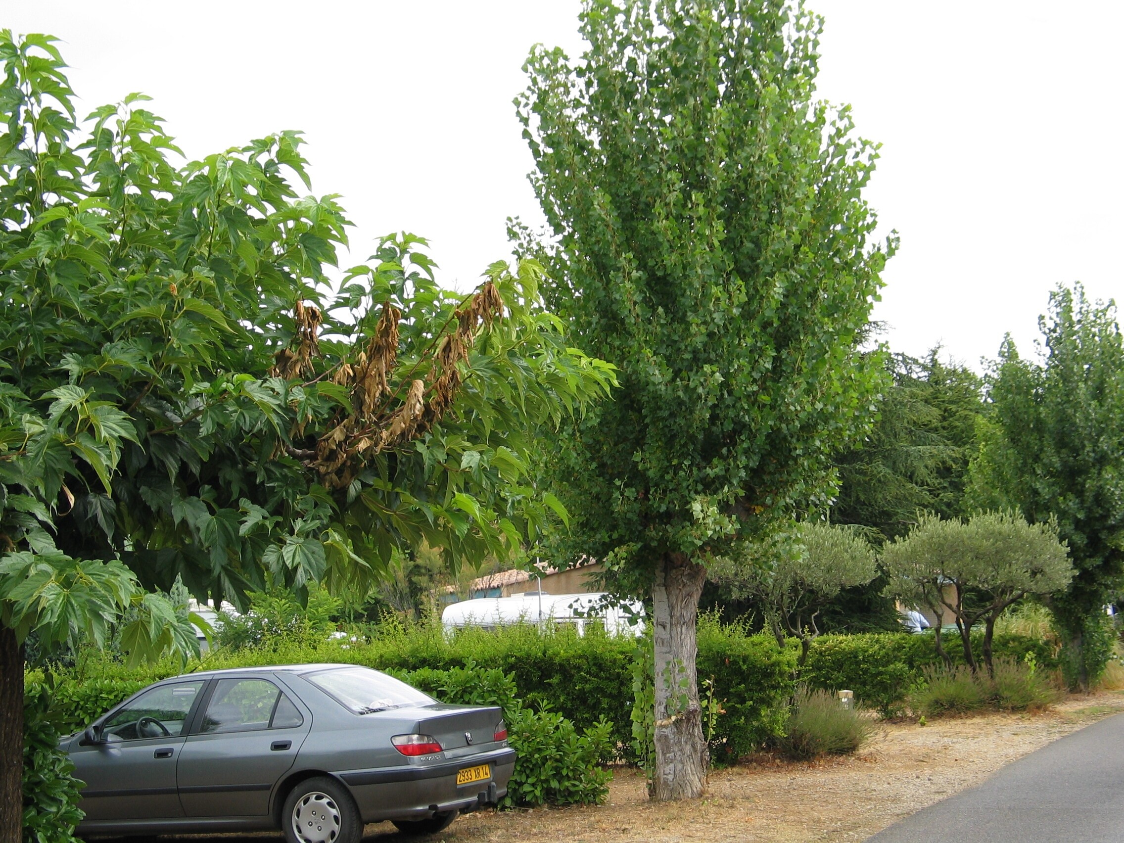 Camping International d'Aups