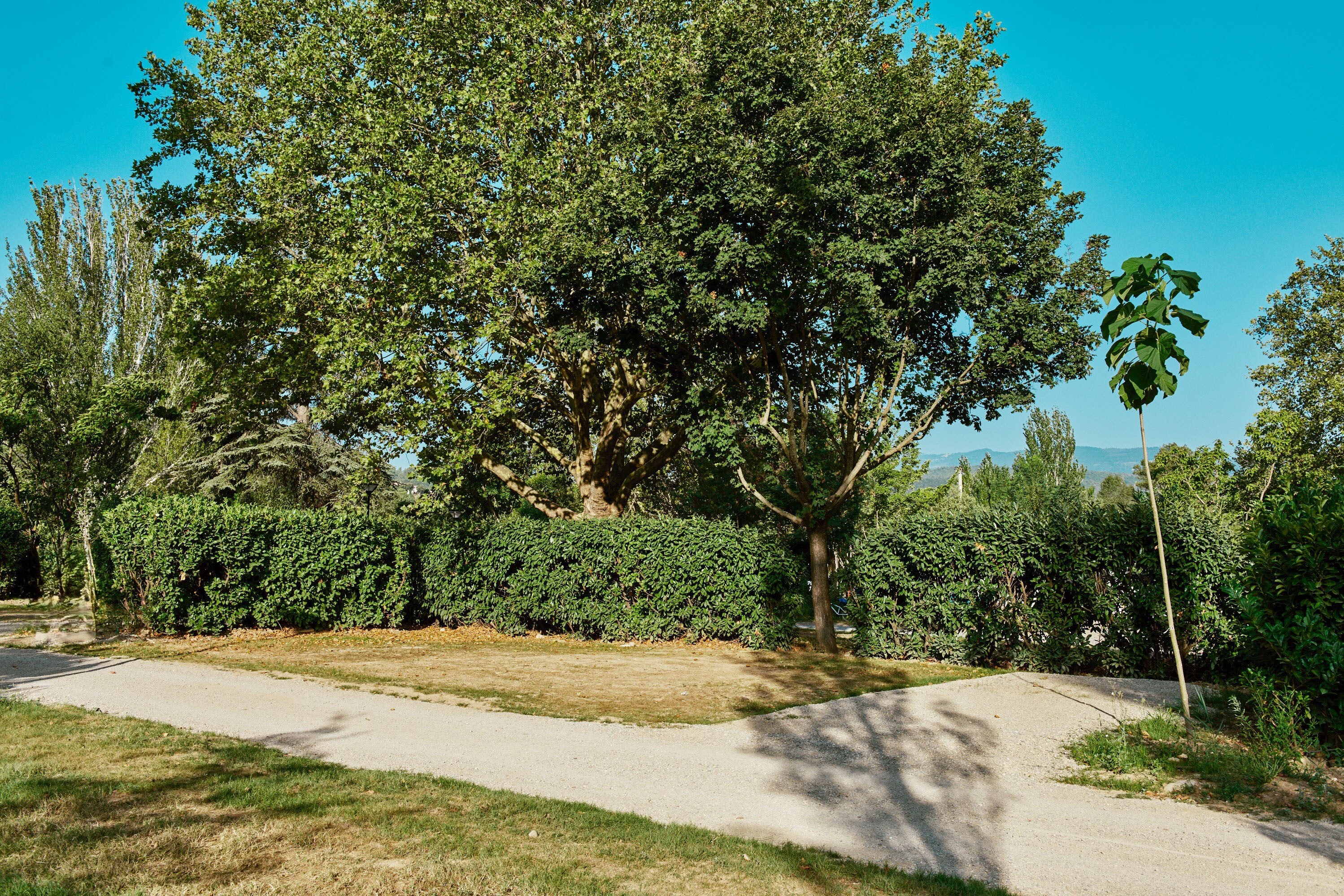 Camping Sunêlia l'Hippocampe