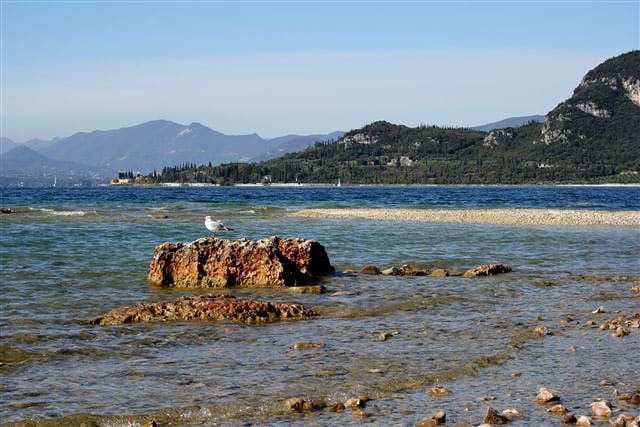 Camping Serenella afbeelding 2