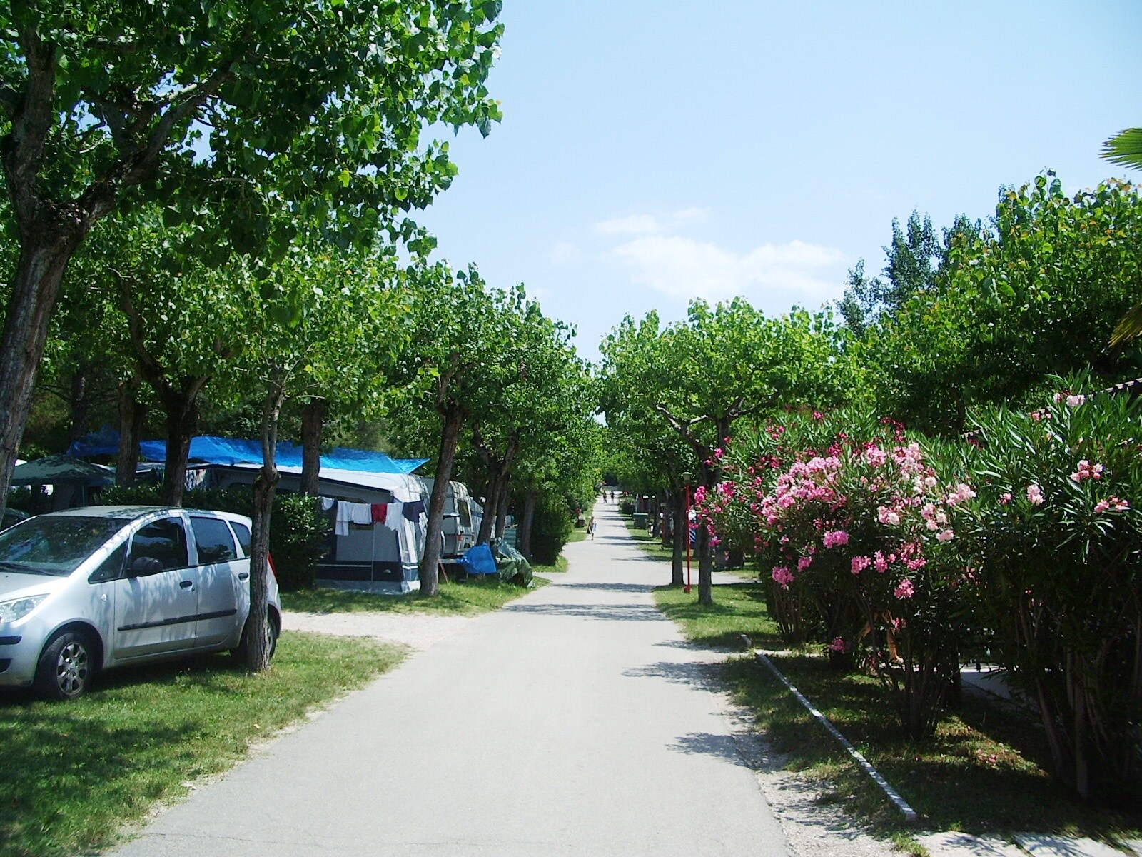 Camping Belvedere
