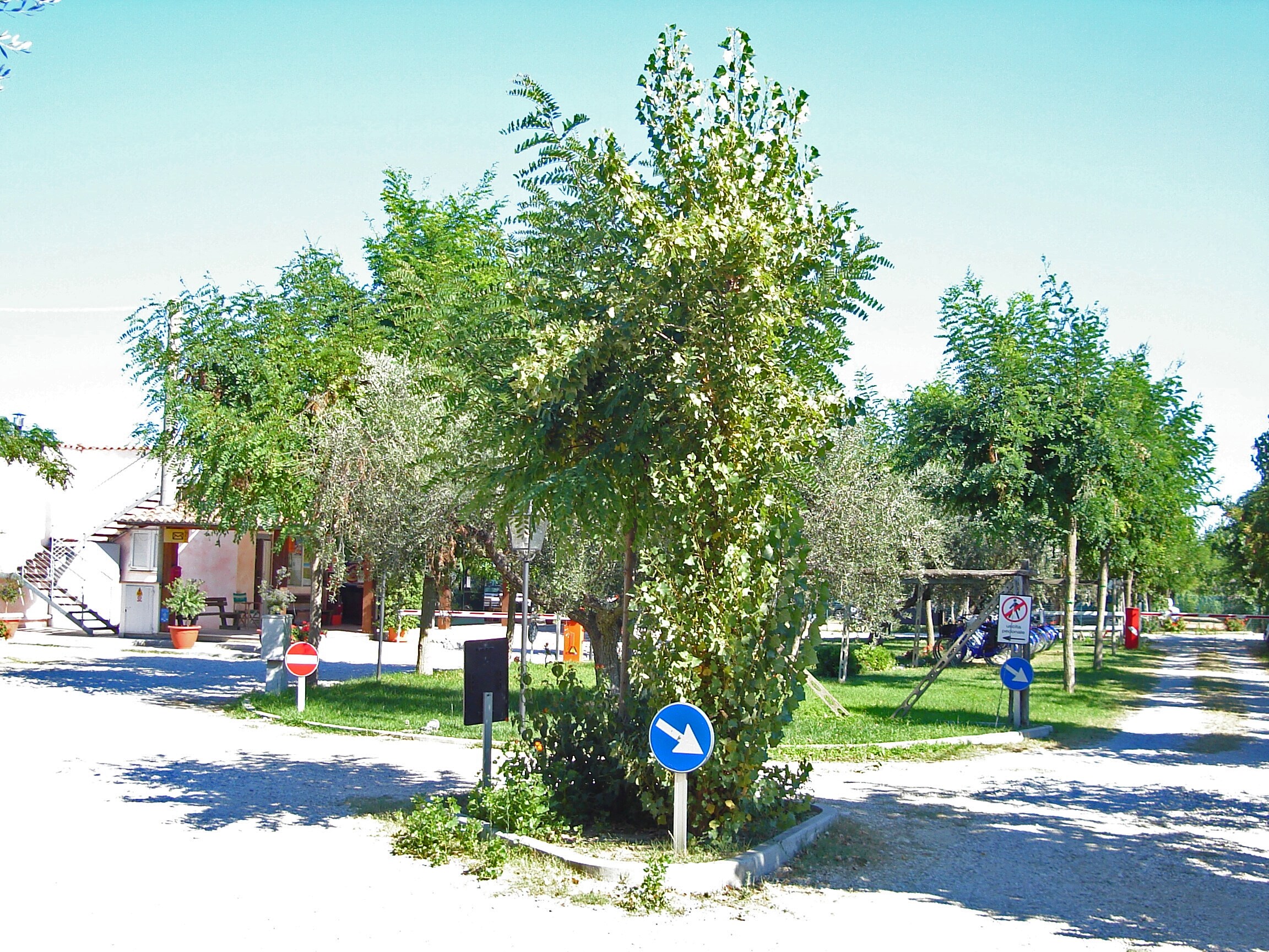 Pineto Beach Village & Camping