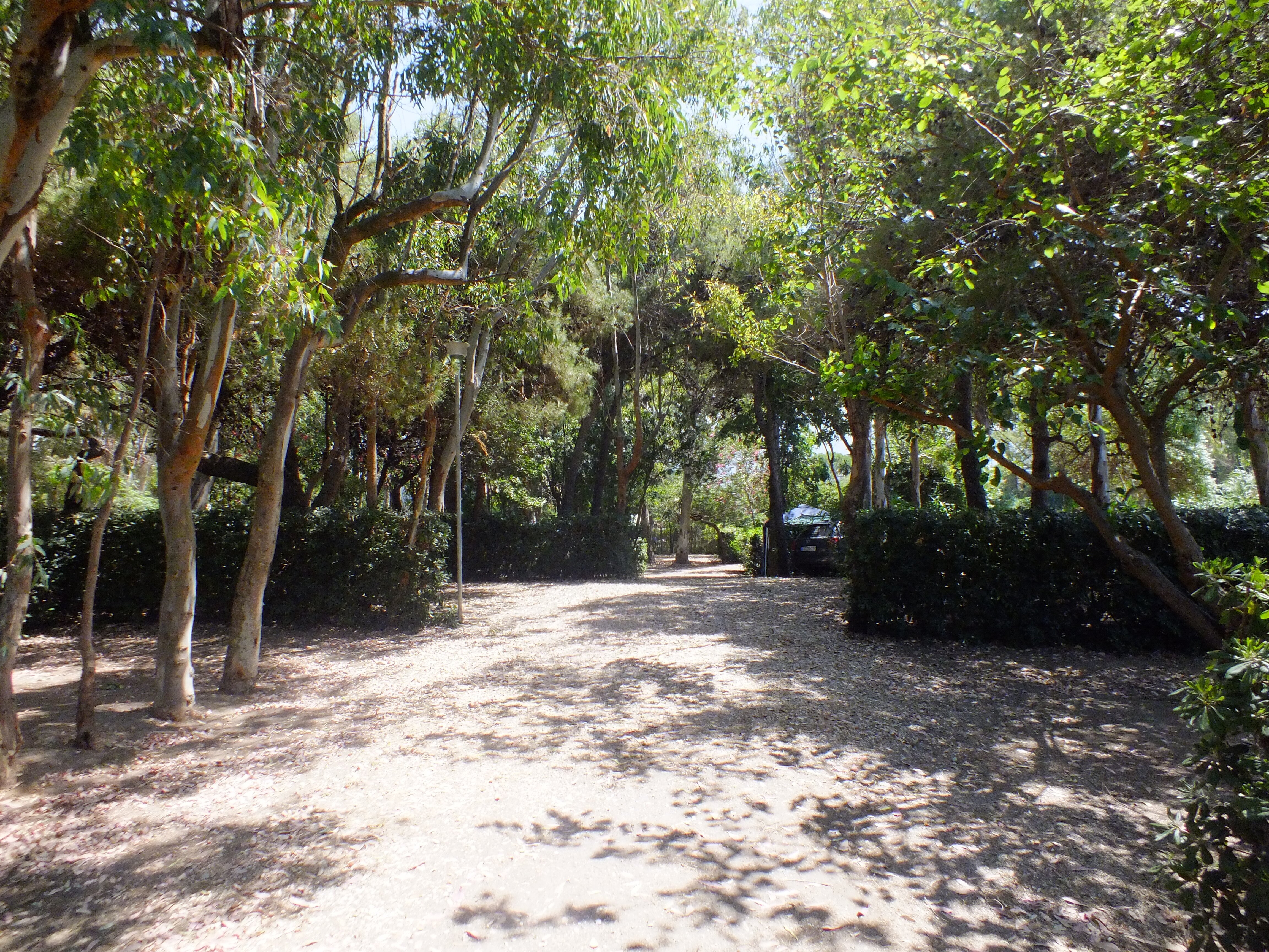 Camping Villaggio dei Pini