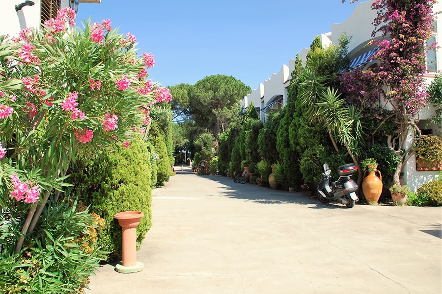 Camping Calabrisella